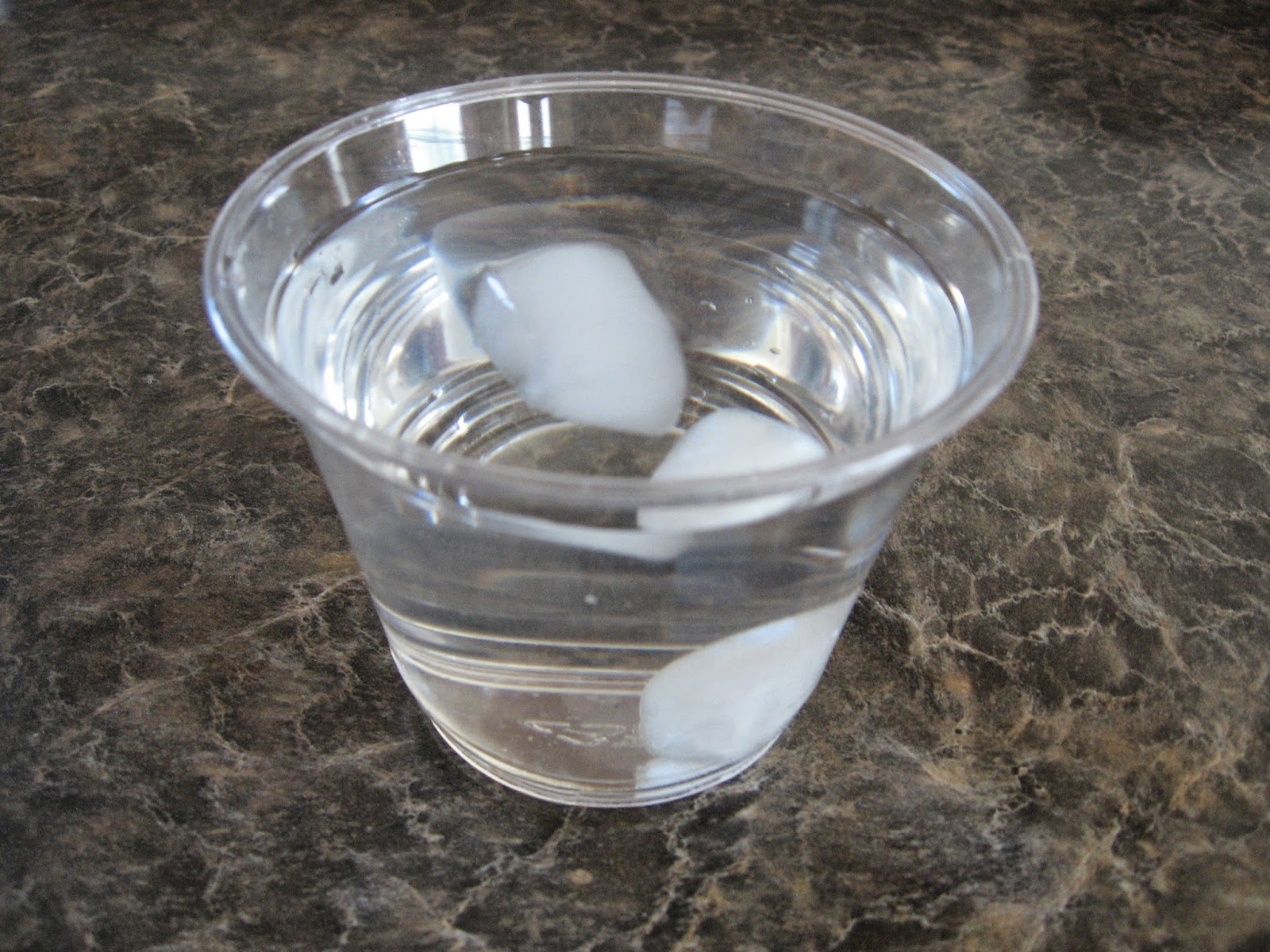 Almost Unschoolers Summer Fun 2014 Sink or Float? Sugared IceCubes