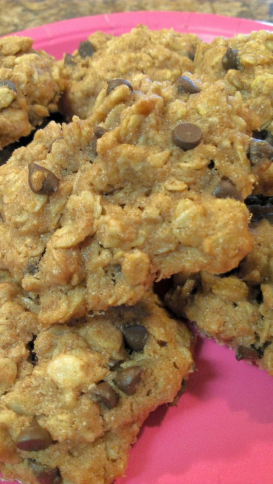 Quick Organic Meals Organic Oatmeal Chocolate Chip Cookies