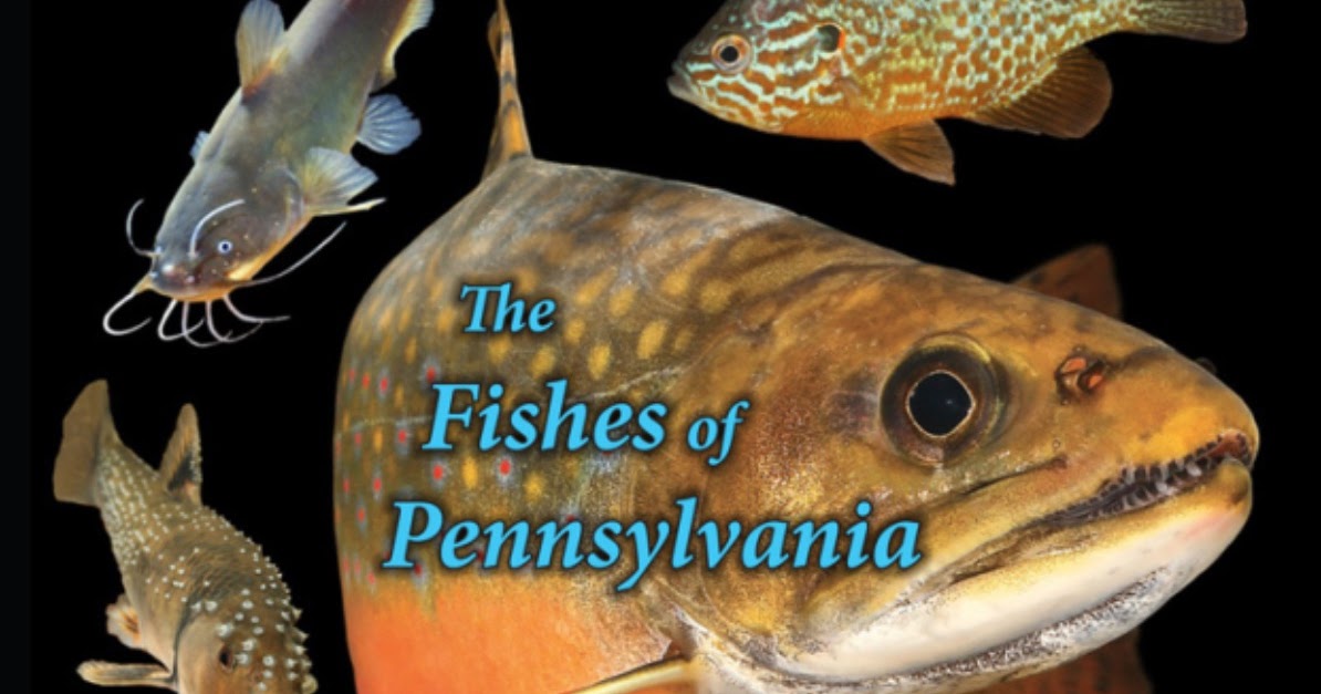 PA Environment Digest Blog Landmark Fishes Of Pennsylvania Book Worth