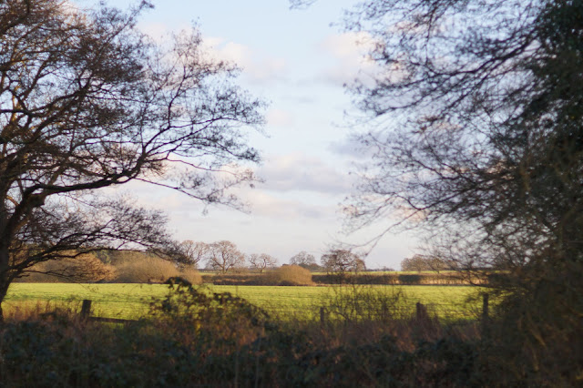 Inspiration from the Norfolk countryside in winter