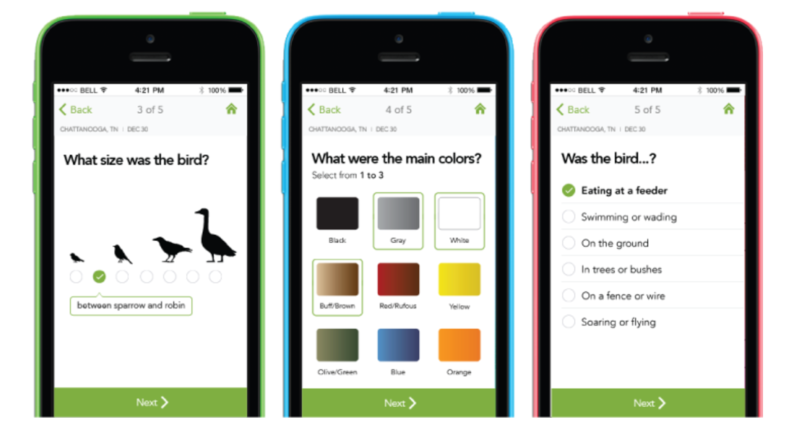 Laura's Birding Blog Review Merlin, a simple app to identify birds