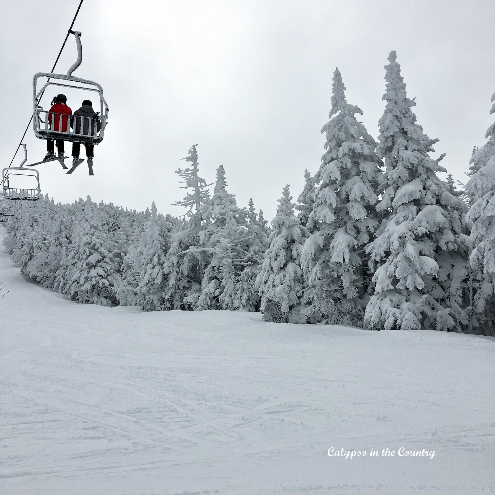 Ski lift and snowy trees