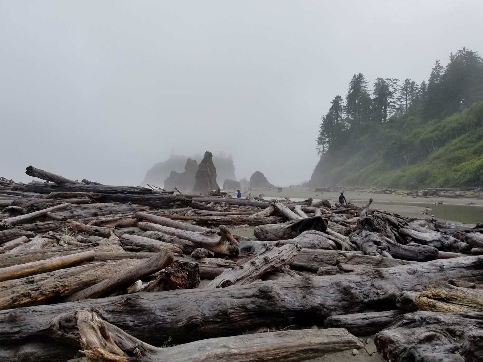 Olympic National Park Beaches Experience Olympic National Park Beaches Experience