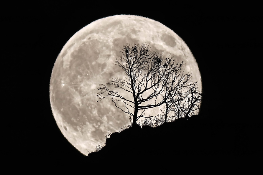 Включи про луну. Приближается полнолуние. Луна и дерево. Подлетая к Луне. Пепельный свет Луны.