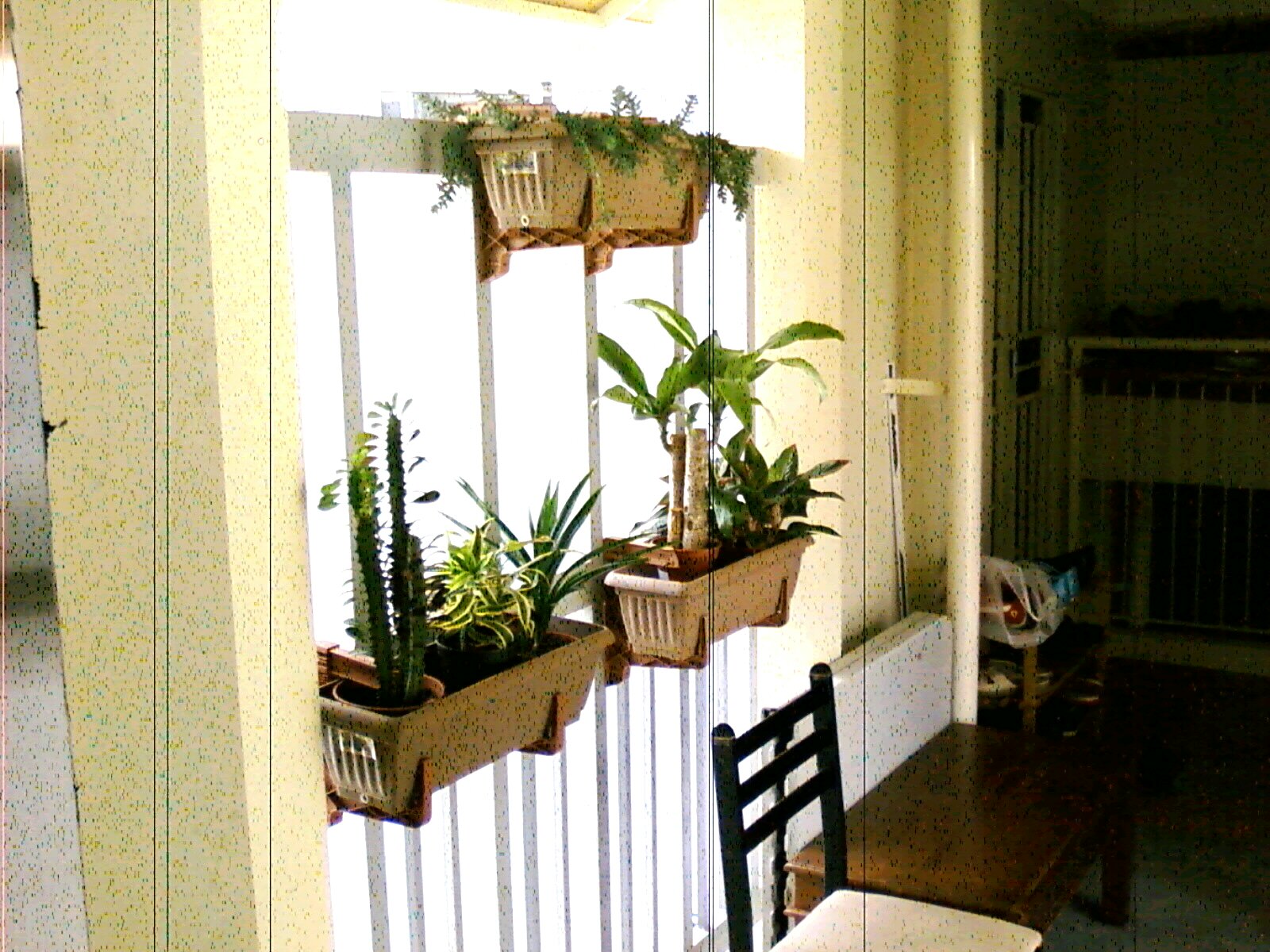 Pretty Gardens: Deck Rail Planter Makes Great Small Space Gardens
