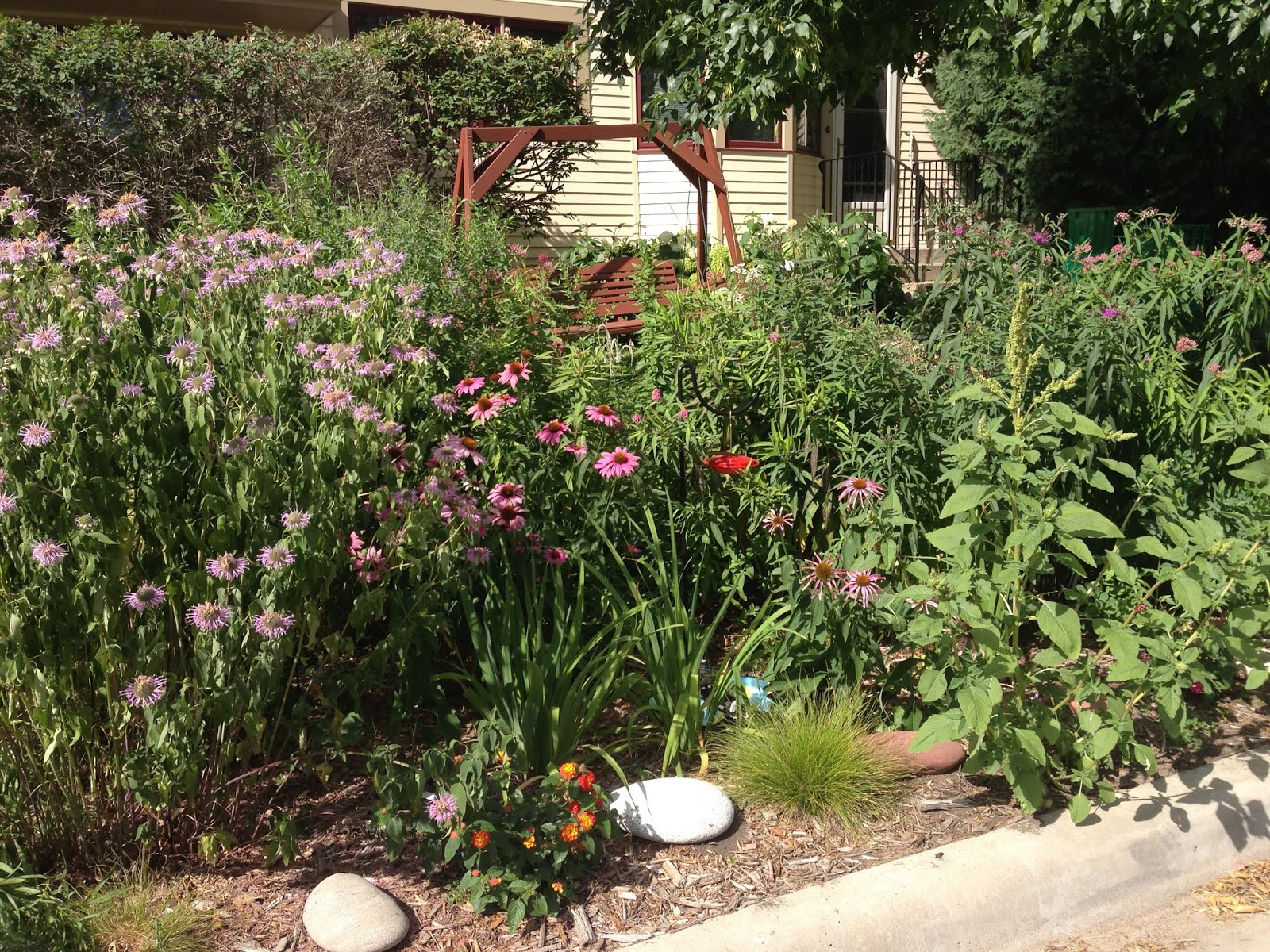 Pruning Flowering Shrubs In Late Summer In The Desert Garden