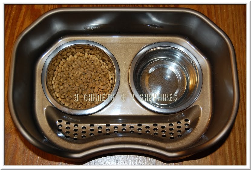 3 Garnets 2 Sapphires The Neater Feeder Keeps Pet Food And