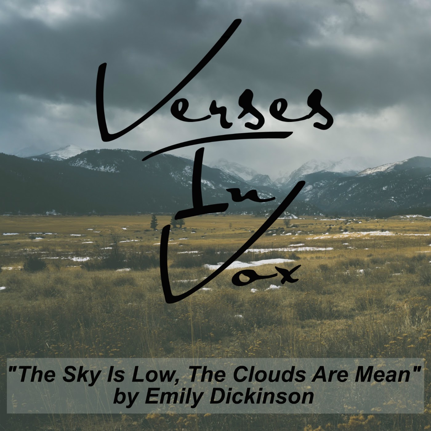 "The Sky Is Low, The Clouds Are Mean" by Emily Dickinson