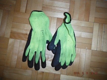 gloves