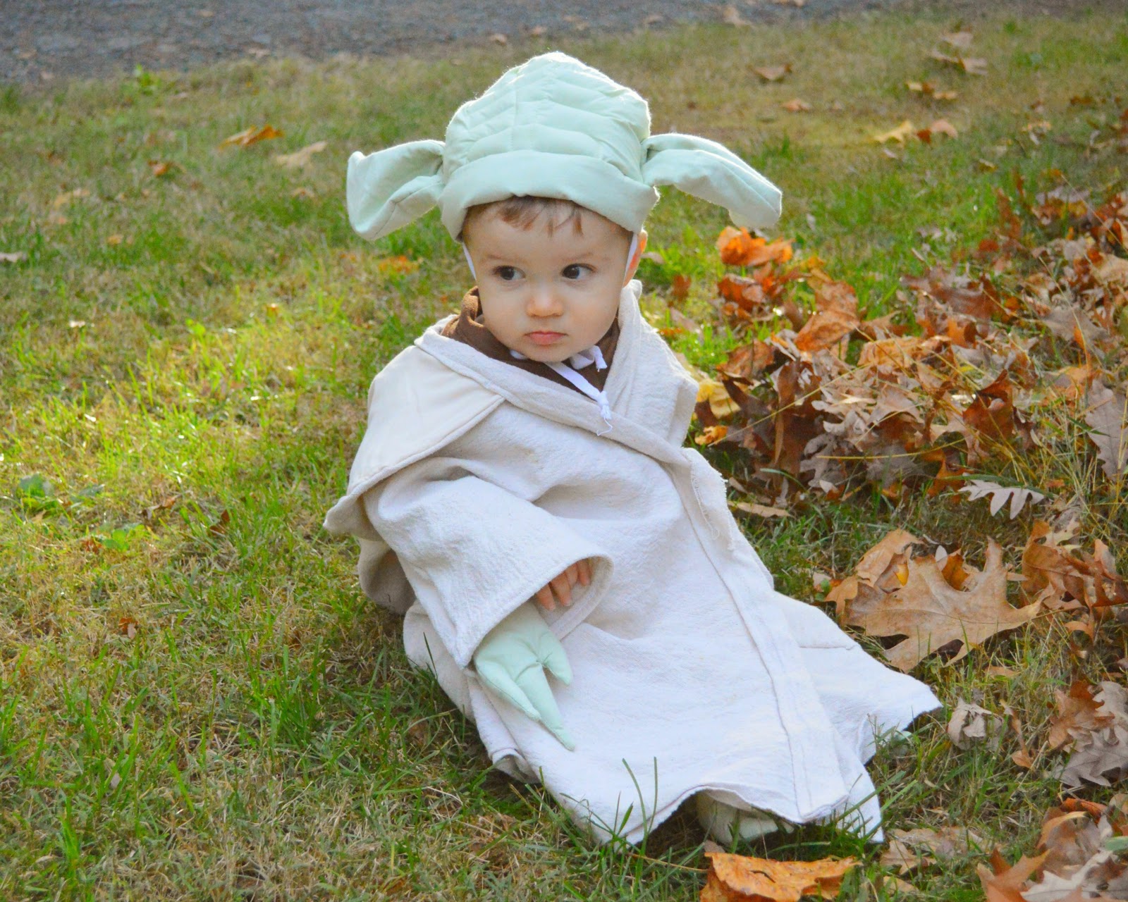 1001 Goals: DIY Luke Skywalker and Yoda Halloween Costumes