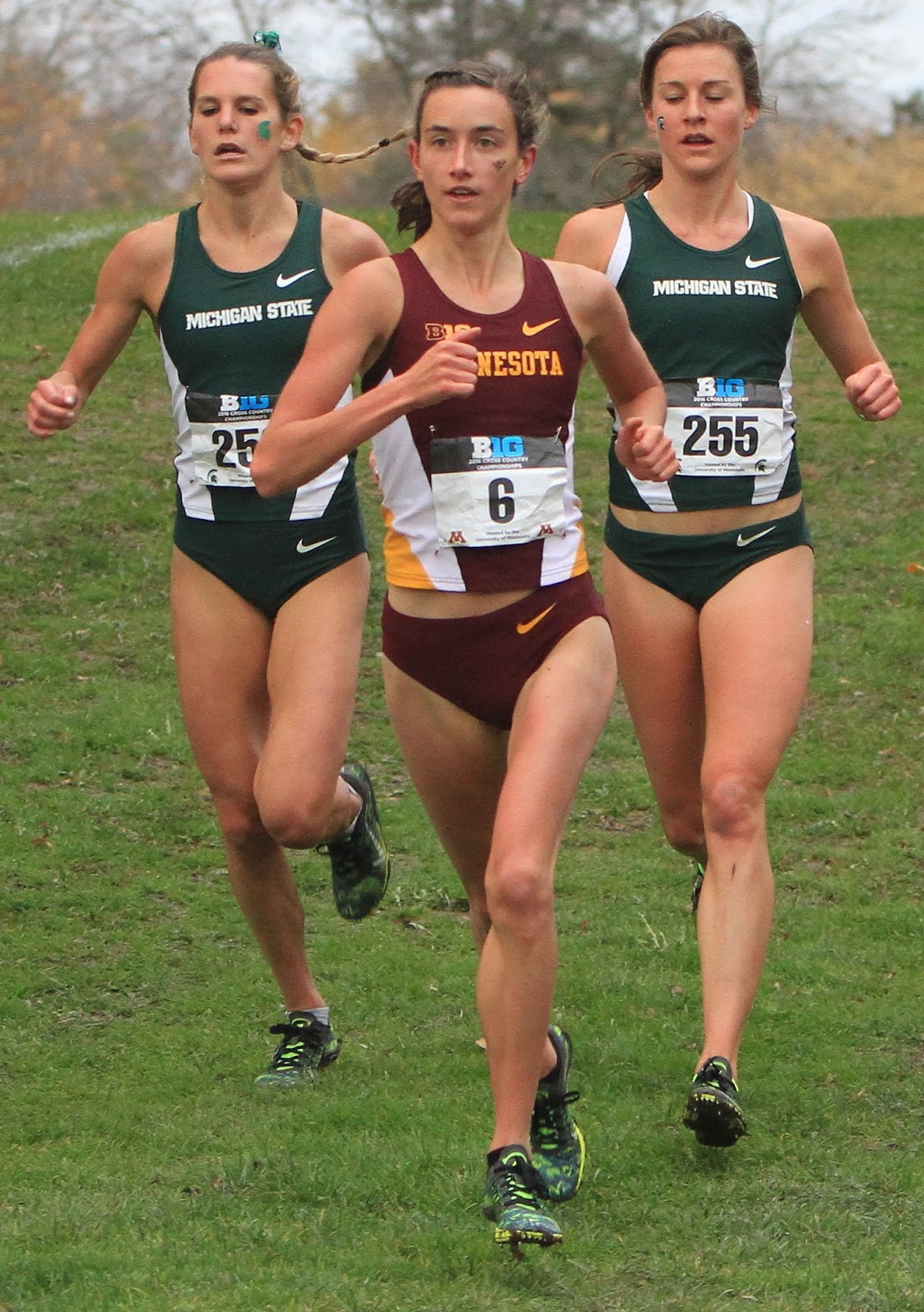 Down the Backstretch Gene Niemi's Big 10 Photo Album