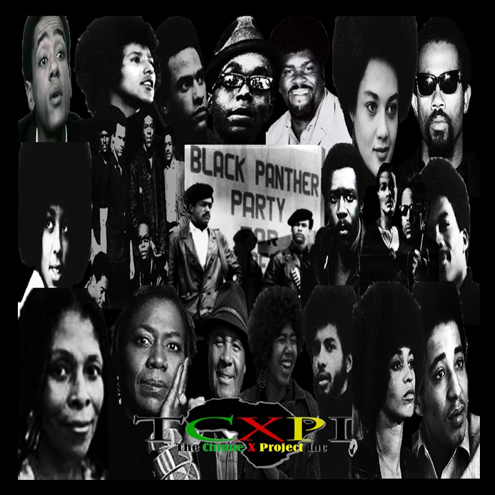 TCXPI Presents The Black Panther Party for Self Defense (Click image to view)