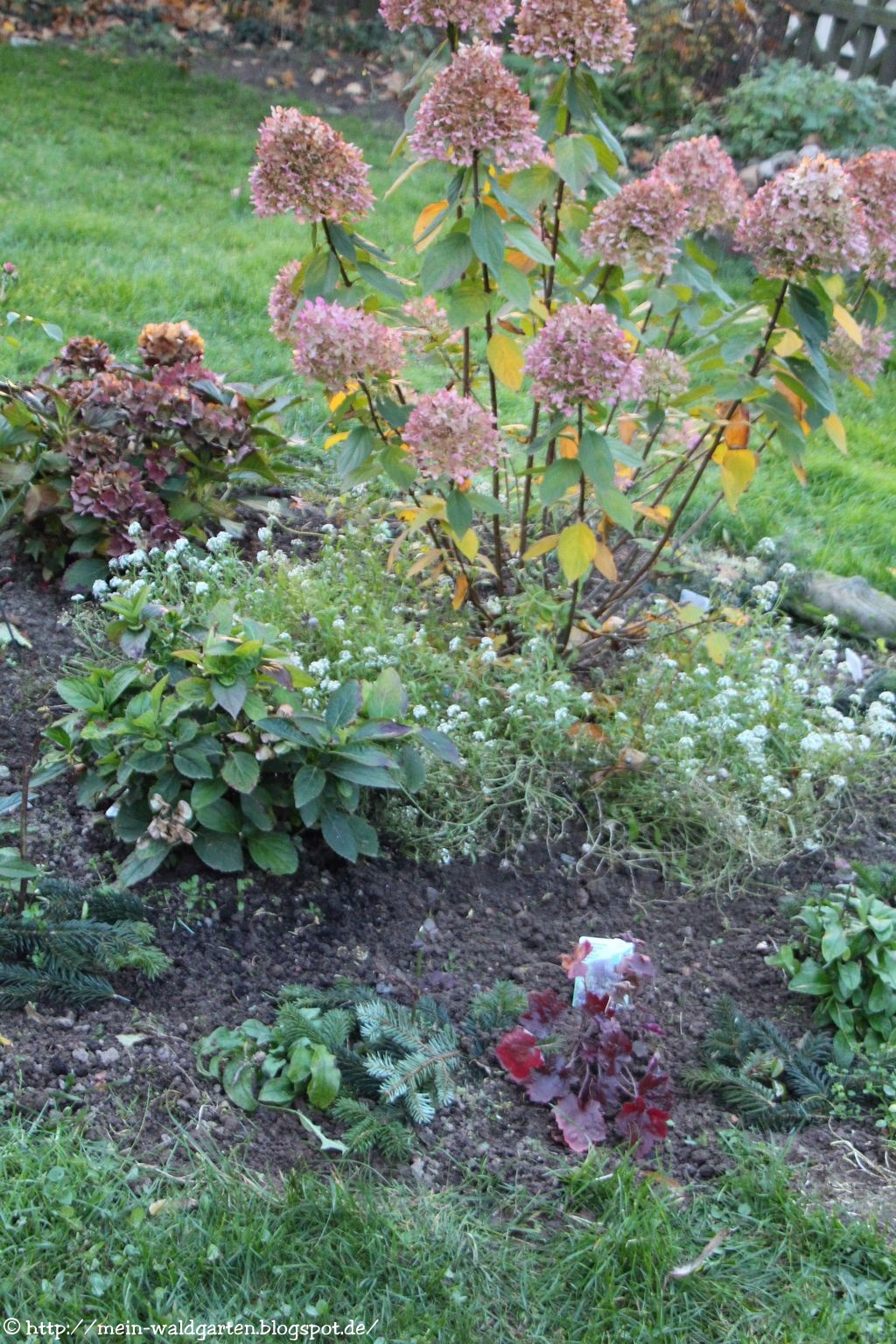 Mein Waldgarten Aktive Kommentar Links Warmes November Wetter