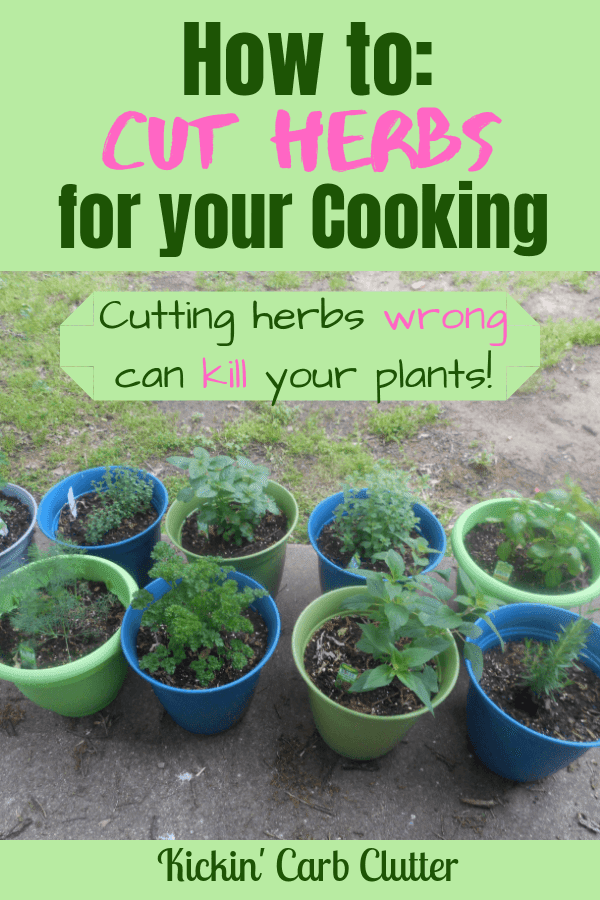 How to Cut Herbs for Cooking