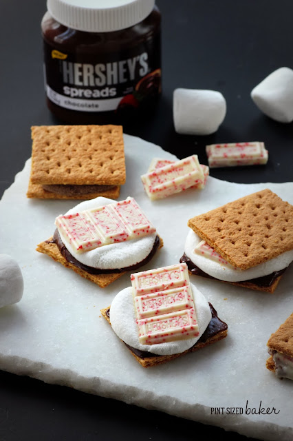 You definitely need to try these s'mores with a holiday twist! Hershey's Candy Cane S'mores are extra special for your winter treat!