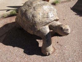 <center>The Way of The Tortoise</center>