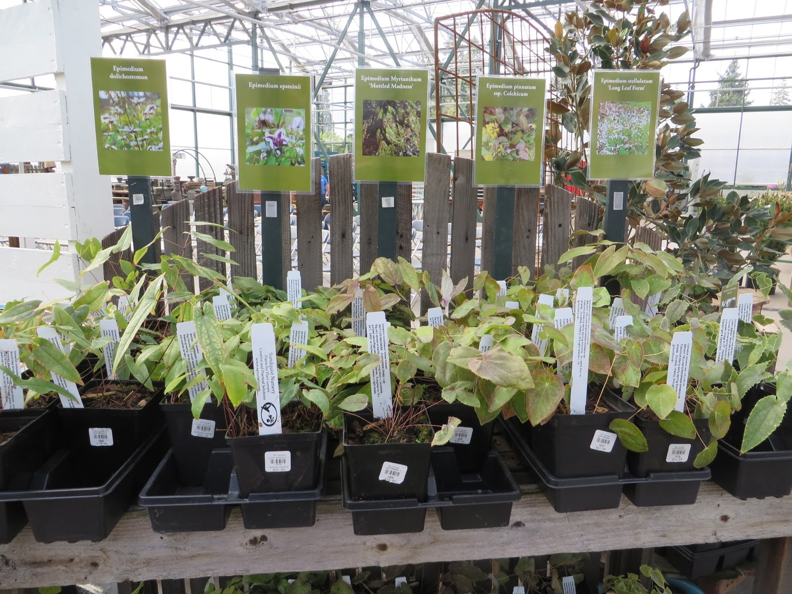 Nursery Visit Sky Nursery Seattle