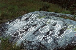 Petroglifos. Yacimiento Potrero perdido Loma de Maya Colonia Tovar Estado Aragua. Venezuela