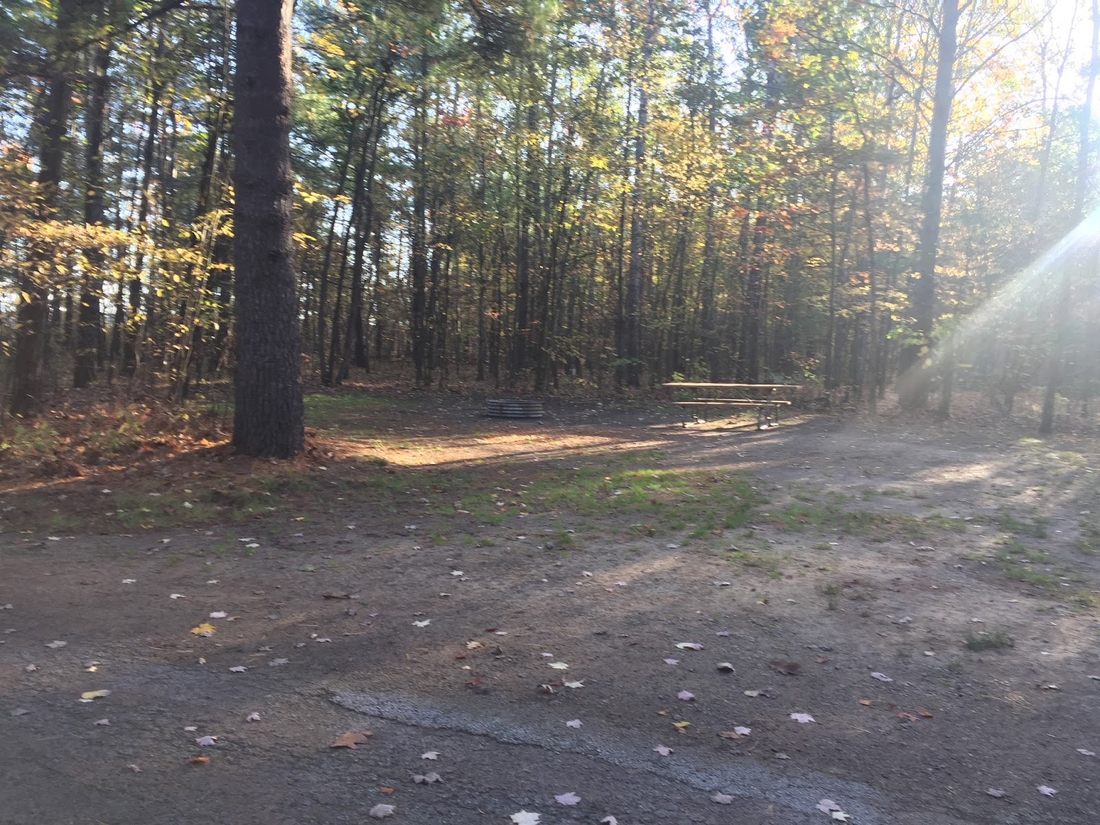 Travel Reviews & Information Newaygo, Michigan / State Campground