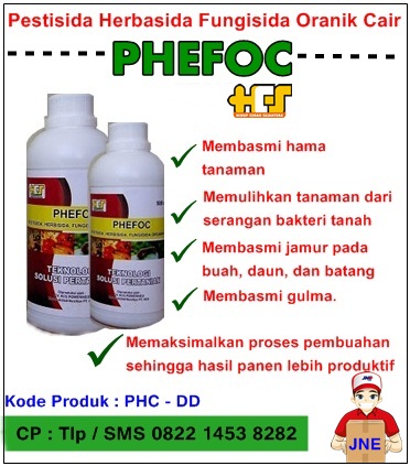 PHEFOC- HCS
