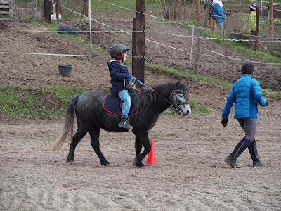 hubertus 2016, hubertus w Krakowie, stajnia Węgrzce, pensjonat dla koni w Węgrzcach, konkurs dla dzieci, bieg tatarski