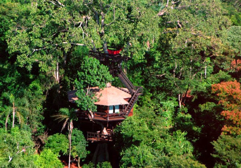 Brazil - 10 Of The Wildest Tree House Locations