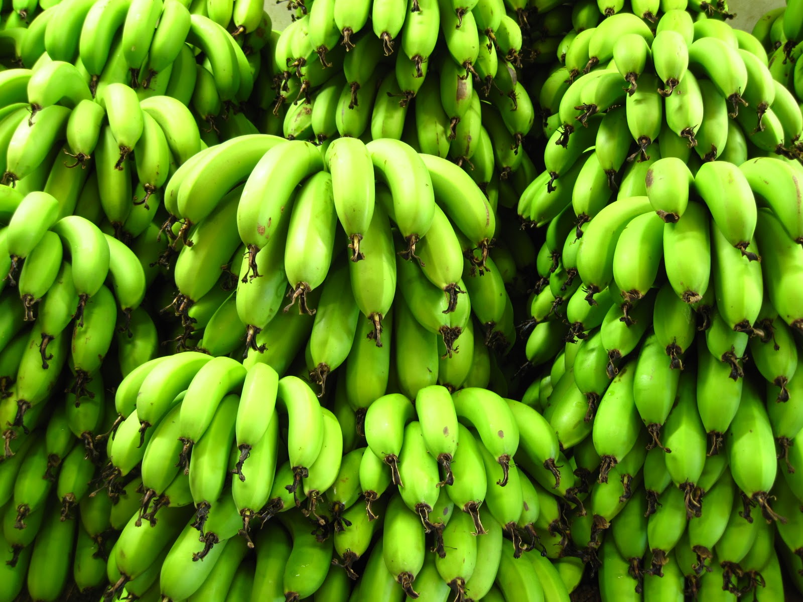 Feit of fabel?: Stoppende Bananen?