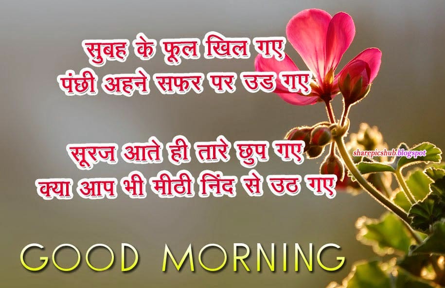 Cute Good Morning Shayari in Hindi | Share Pics Hub