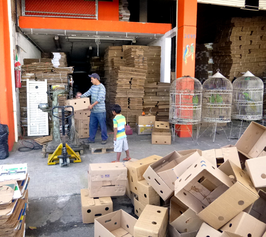 Travels In Mexico: Mercado de Abastos
