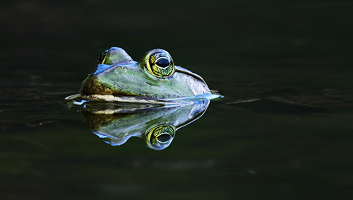 Forms 4 2017: Symmetry in art...