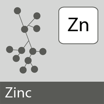El Zinc en la alimentación