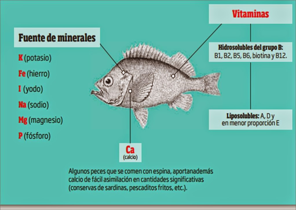 Cuaderno de salud y dietética. El pescado y sus beneficios para la salud