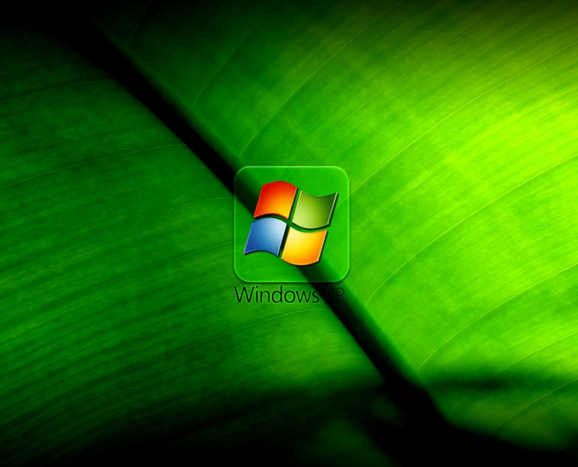 Windows Logo Background Green HD 5599 Wallpaper