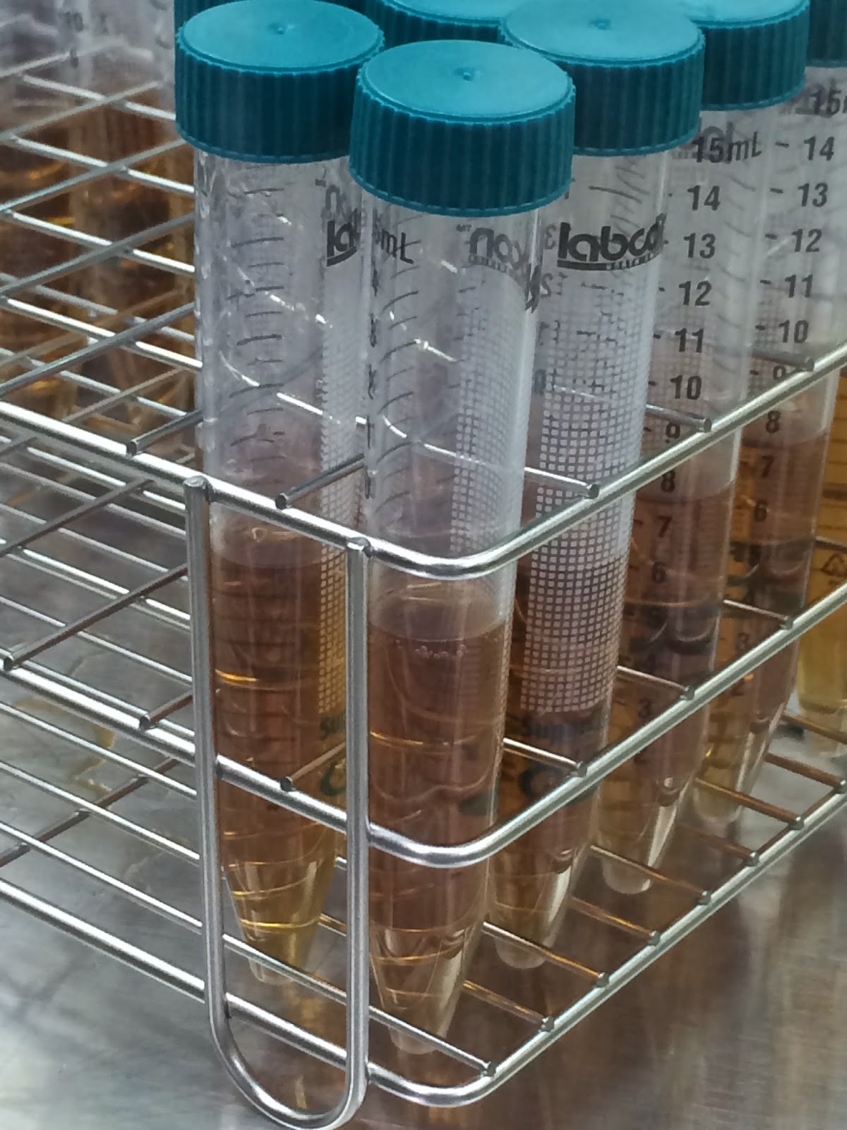 楊容的學習記錄: 0429活化菌種