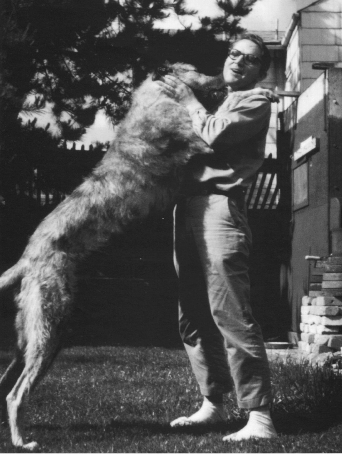 Fællesskab i liv og død, en mand og hans hund