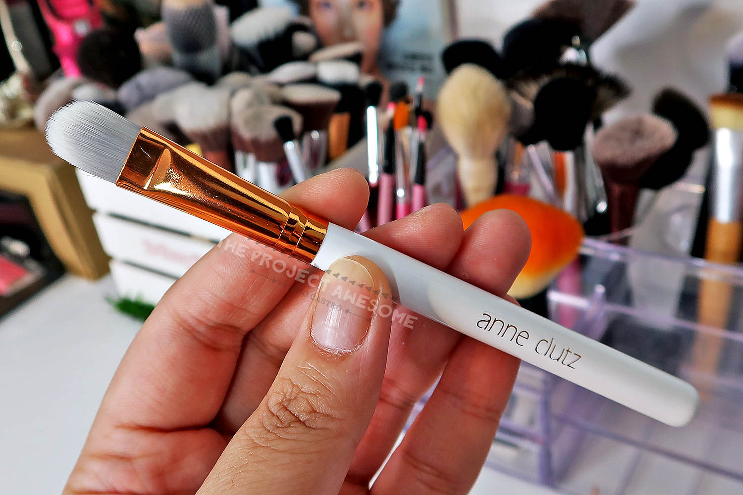 The Project Awesome REVIEW Anne Clutz Ultimate Beginner Brush Set