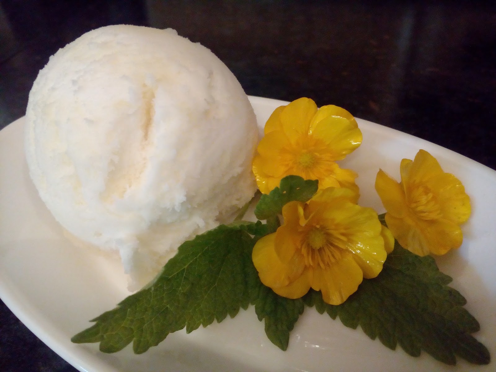 Verboten gut ⚠: Erfrischendes Zitronensorbet ~ Sorbetto di limone Verboten gut ⚠: Erfrischendes Zitronensorbet ~ Sorbetto di limone