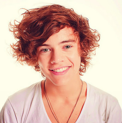 HARRY STYLES COOL CURLY HAIRSTYLE