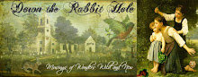 Down the Rabbit Hole Blog Banner