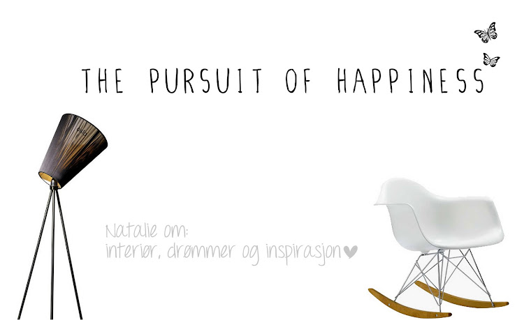 The Pursuit of Happiness