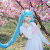 Trùm ảnh Cosplay sona của Việt Nam cực chất