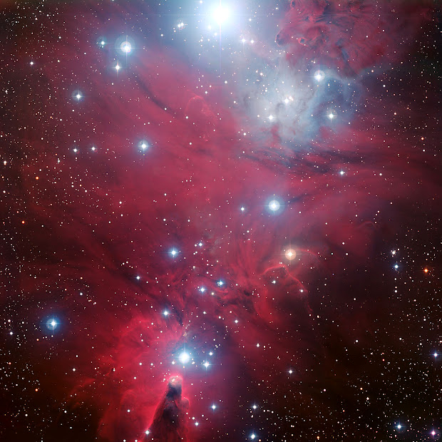 NGC 2264 - The Cone Nebula and the Christmas Tree Cluster