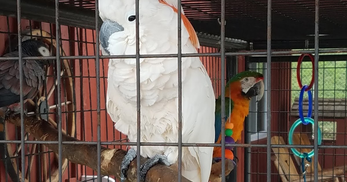 Living Our Bucket List Life Farmington Nemacolin Woodlands Zoo