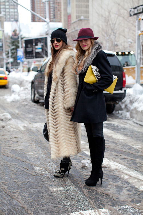 Fur and Fashion