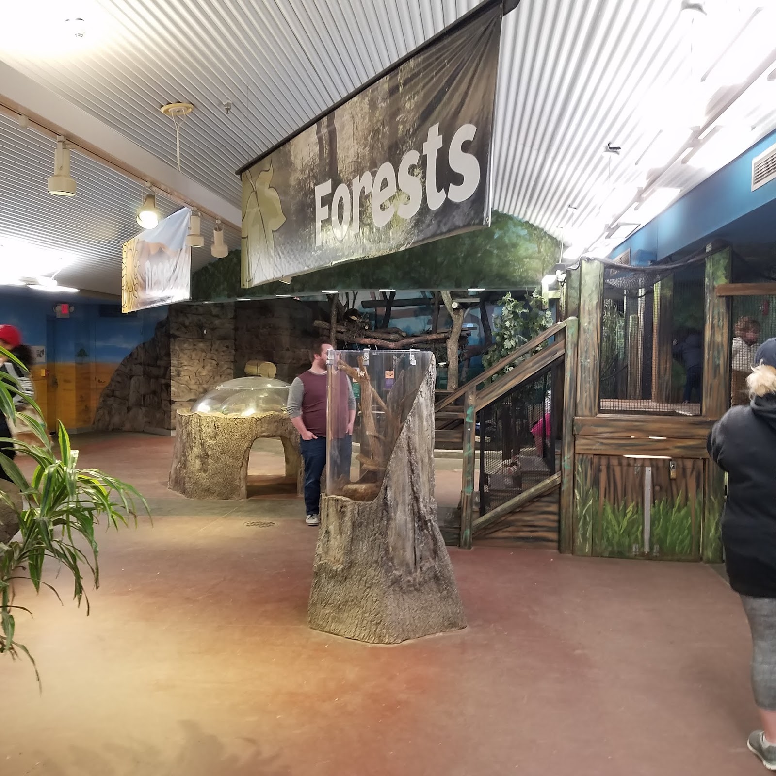 Play St. Louis St. Louis Zoo Children's Zoo, St. Louis