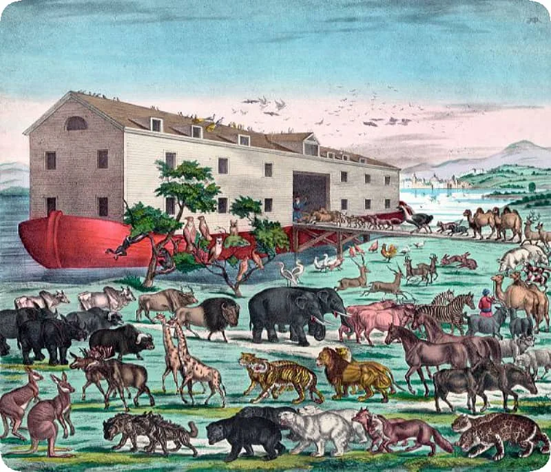 La responsabilidad del hombre en la naturaleza - Material y artículo de CatecismoParaNinos.blogspot.com