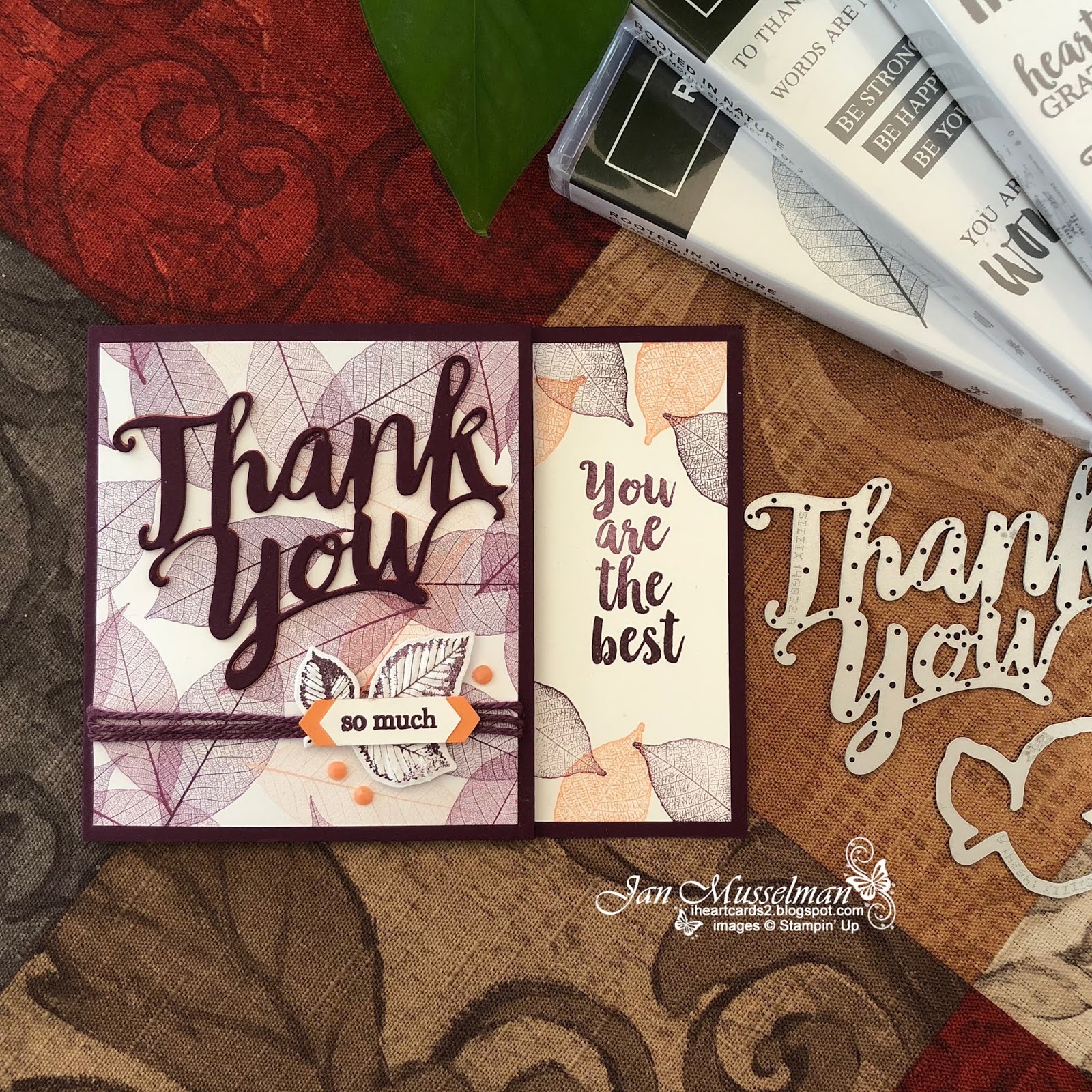 i♥Cards2 A Big Thank You Gift Card Holder