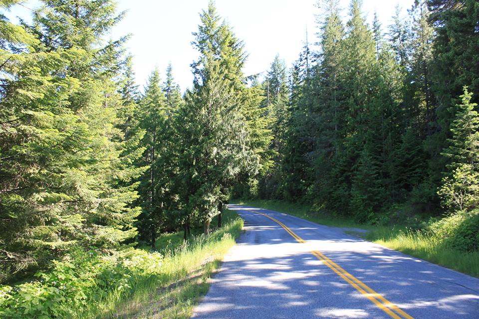 North Idaho Runner Hayden Lake Marathon