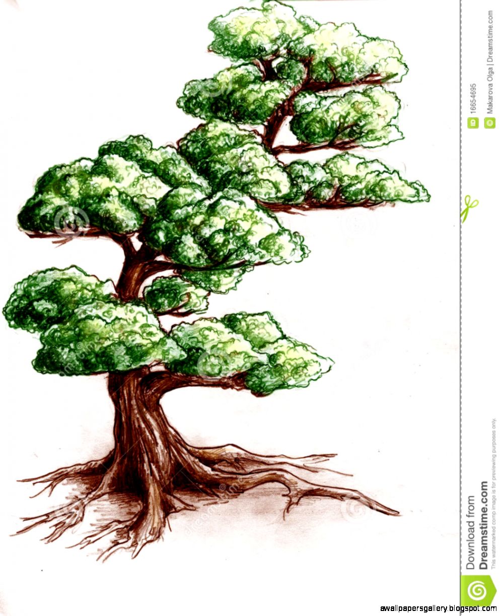 Tree Drawing Color
