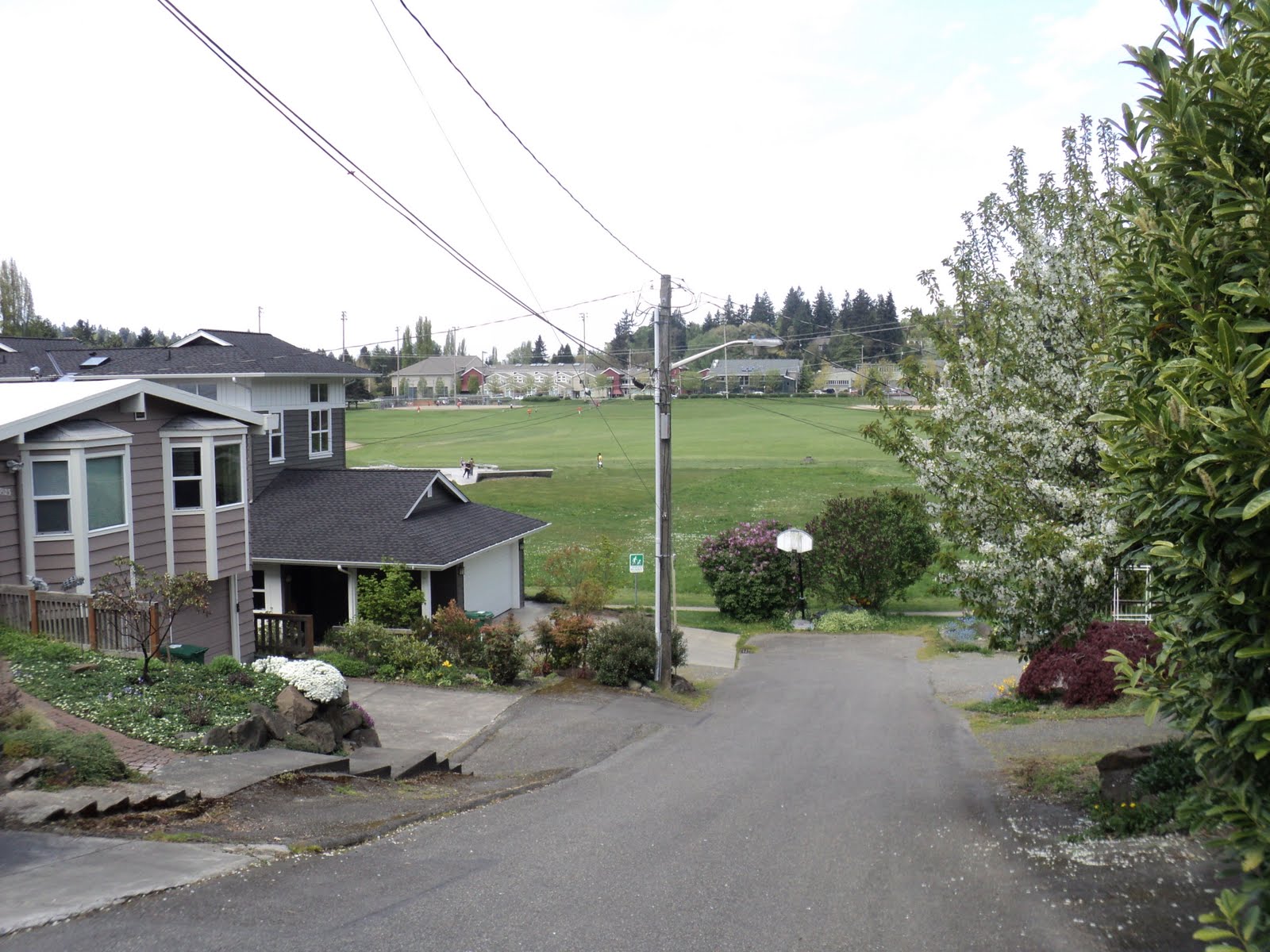 Walking Seattle Neighborhoods Bryant/Ravenna/Wedgwood